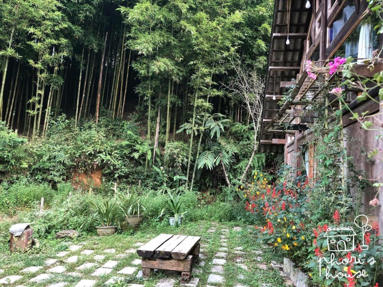 Phori'S House - Bamboo Forest Sapa Exterior photo